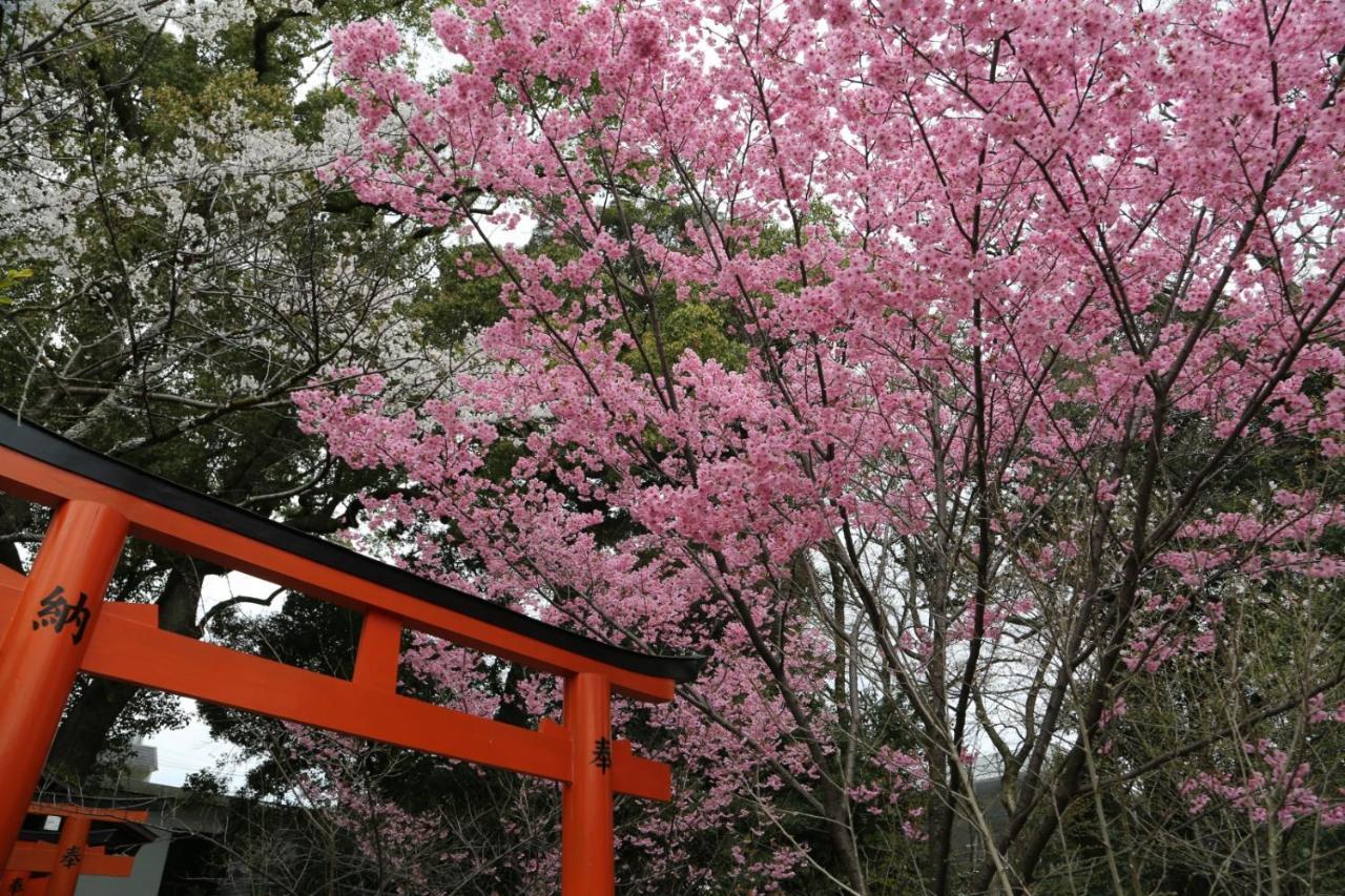 Kyoan Iori Villa - Kyoto — Photos 1